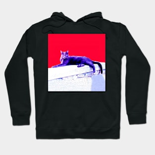 Blue Cat Hoodie